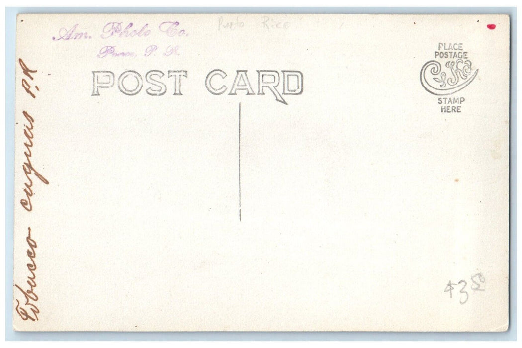 c1910's Bird's Eye View Of Tobacco Fields  Puerto Rico PR RPPC Photo Postcard
