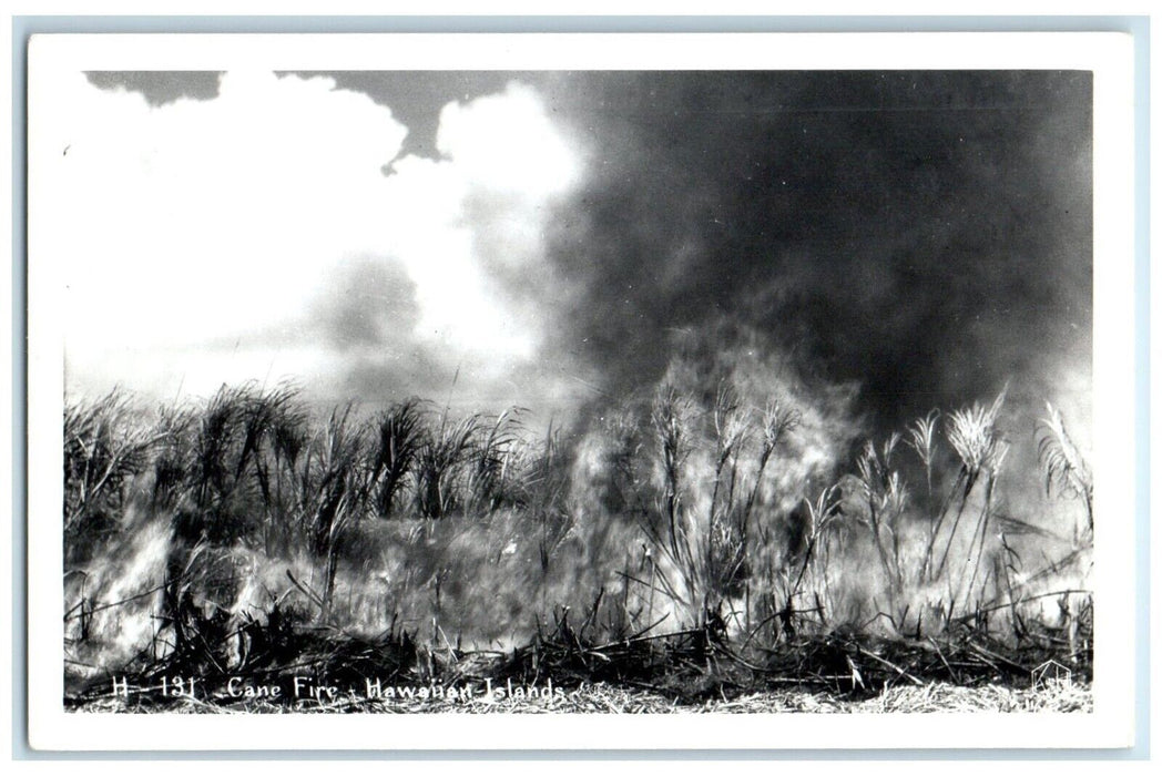 c1940's Cane Fire Hawaiian Islands Hawaii HI RPPC Photo Vintage Postcard