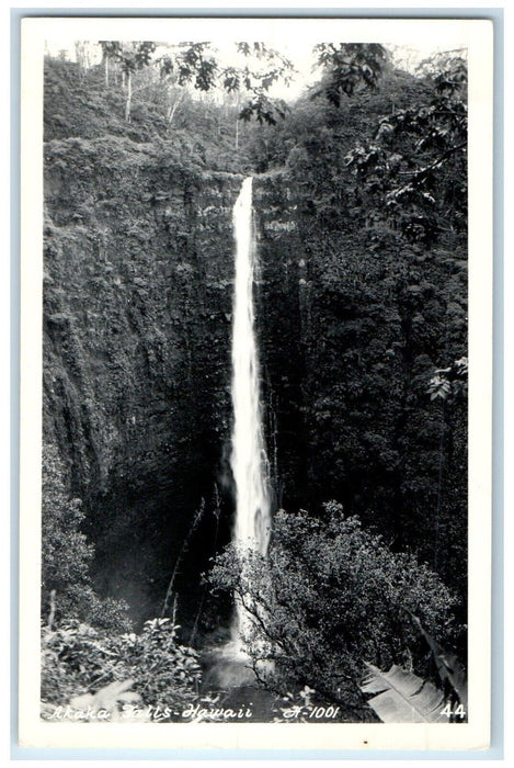 c1950's View Of  Akaka Falls Waterfalls Hawaii HI RPPC Photo Vintage Postcard