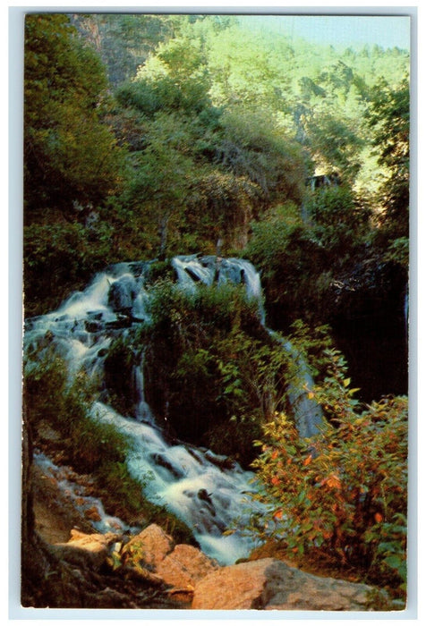 c1960 Roughlock Falls Spearfish Canyon Black Hills South Dakota Vintage Postcard