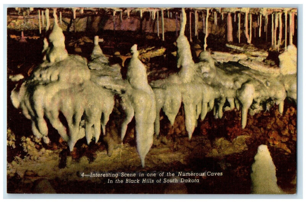 c1940 Interesting Scene Numerous Caves Black Hills South Dakota Vintage Postcard