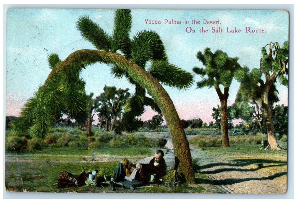 1910 Man Lying On Ground Scene Yucca Palms Desert Salt Lake Route Utah Postcard