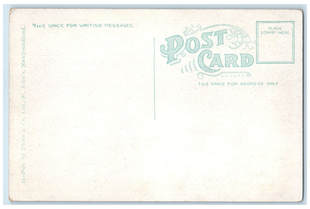 c1920's Breakfast Head Humber River Newfoundland Canada Antique Postcard