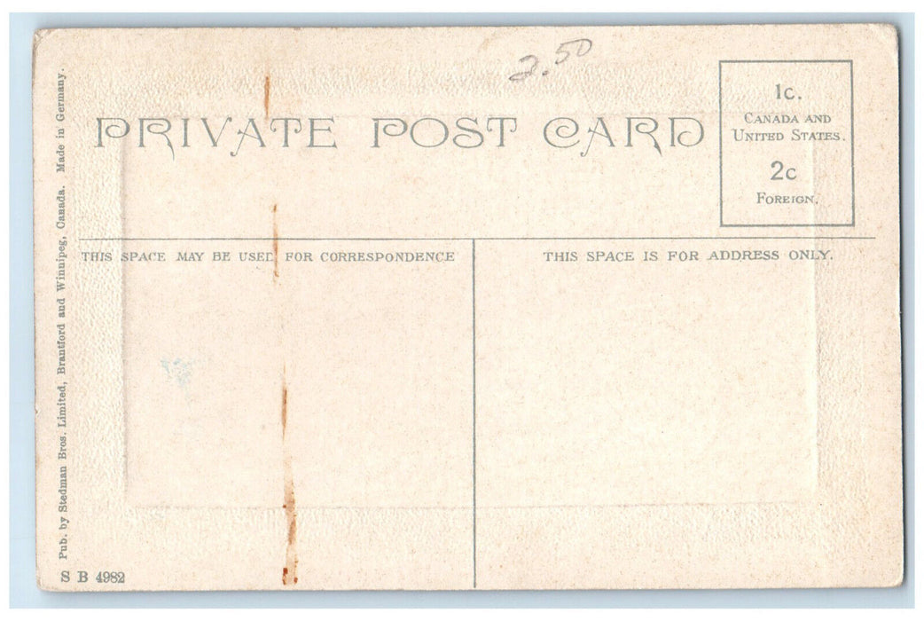 c1910 Steamer Hamonic at New Terminal Station Sarnia Ontario Canada Postcard