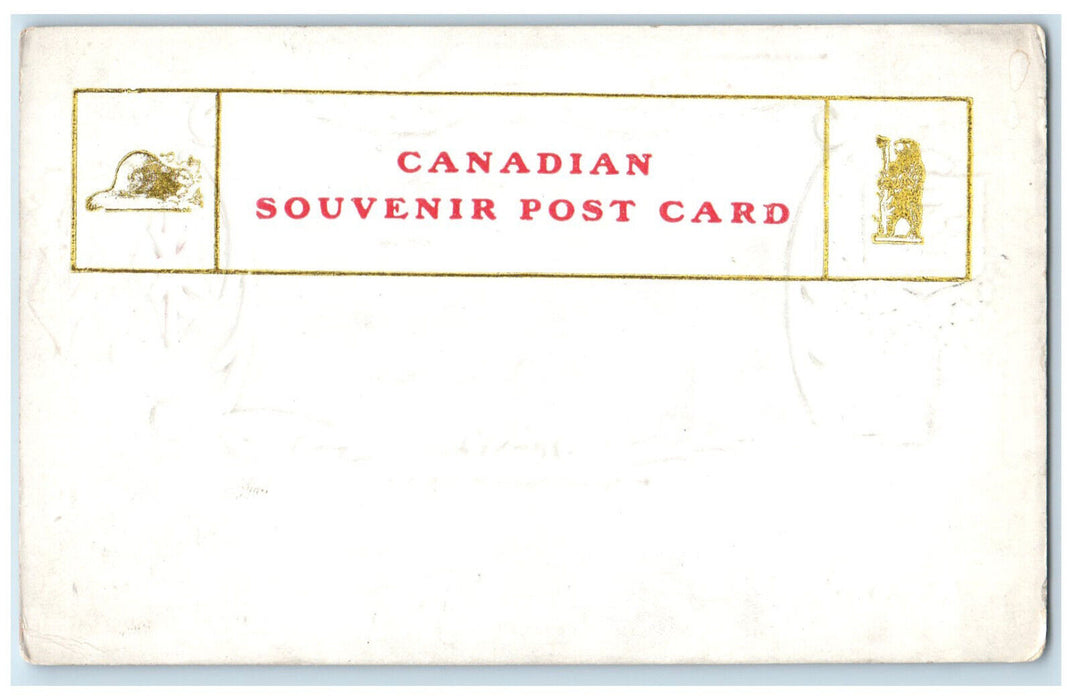 c1905 St. George's Square Guelph Ontario Canada Embossed Flag Postcard