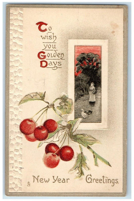 1912 New Year Greetings Berries Embossed McComb Ohio OH Tuck's Antique Postcard