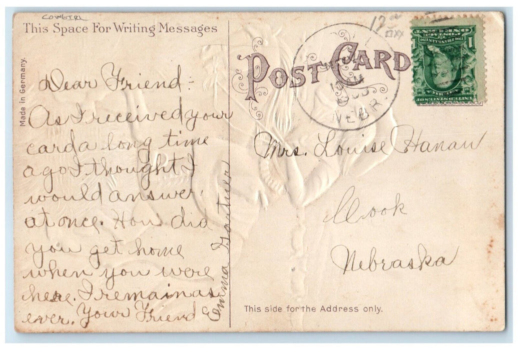 1908 Cowgirl Horse Riding Embossed Cook Nebraska NE Posted Antique Postcard