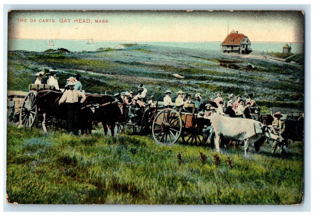 c1910 Scenic View Ox Carts Carriage Gay Head Massachusetts MA Unposted Postcard