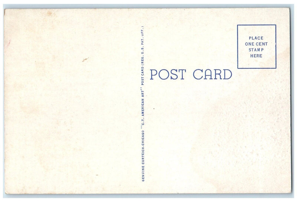 c1940 Main Street Buildings Classic Cars Road Chadron Nebraska Unposted Postcard