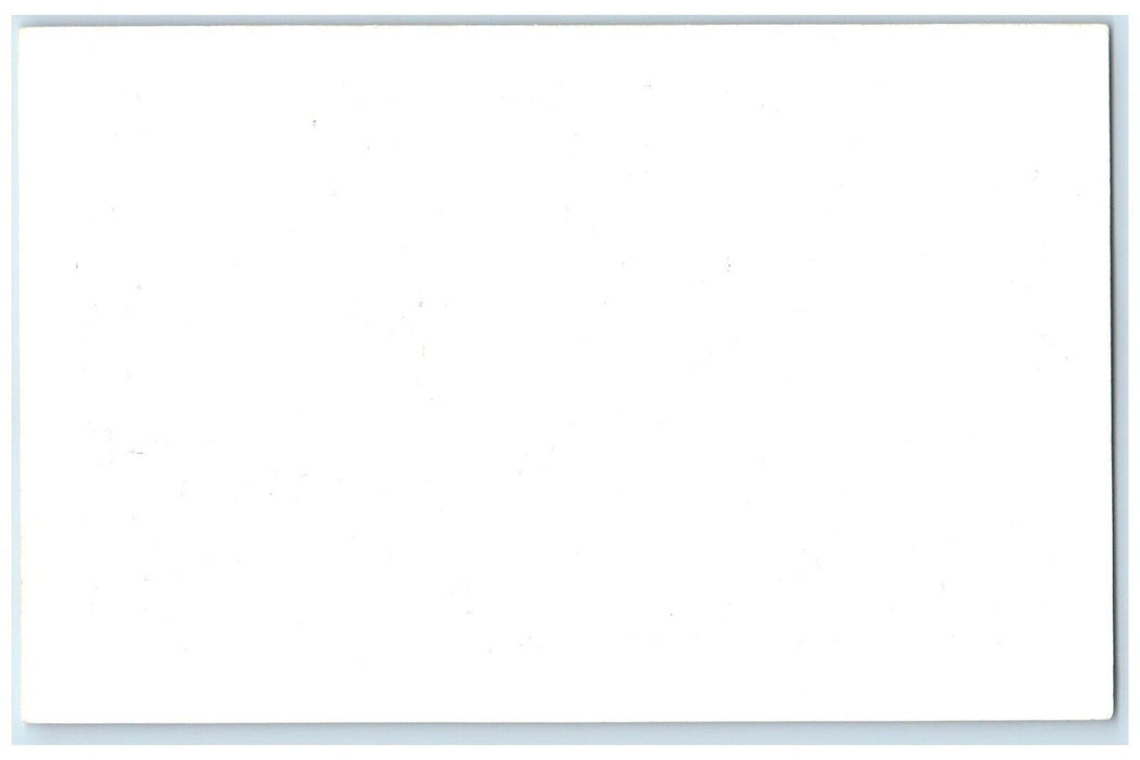 c1950's Museum Interior Animal Frank Philips Ranch Woolaroc Oklahoma OK Postcard