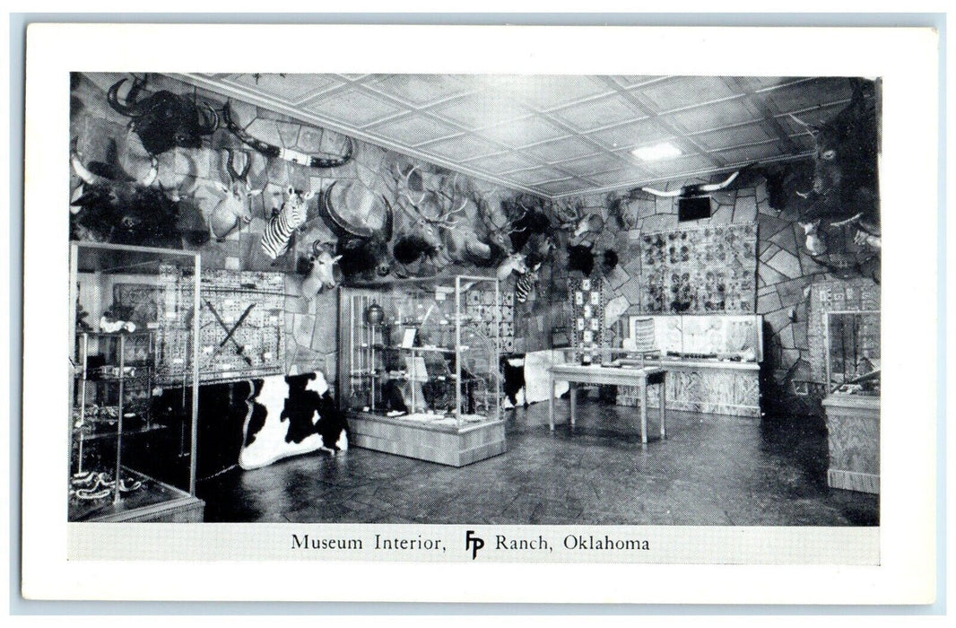 c1950's Museum Interior Taxidermy Frank Philips Ranch Woolaroc Oklahoma Postcard