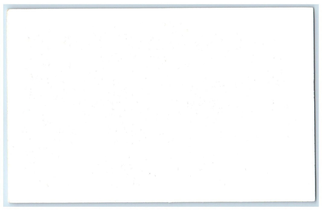 c1950's Museum Interior Taxidermy Frank Philips Ranch Woolaroc Oklahoma Postcard