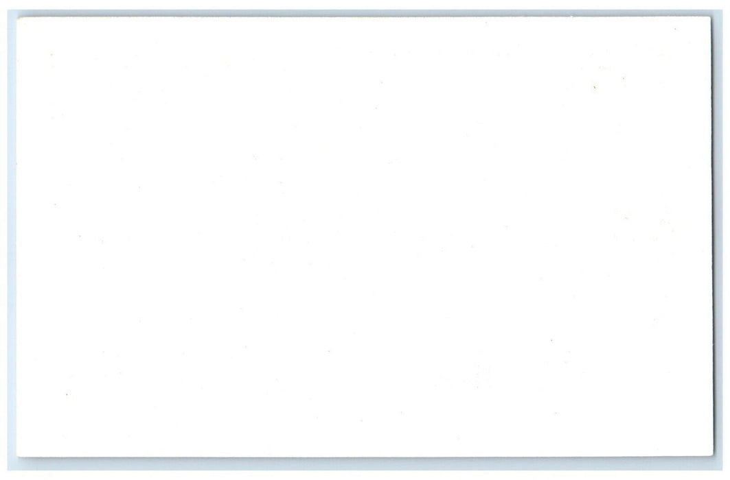 c1950's  Bird Peacock Frank Philips Ranch Woolaroc Oklahoma OK Vintage Postcard