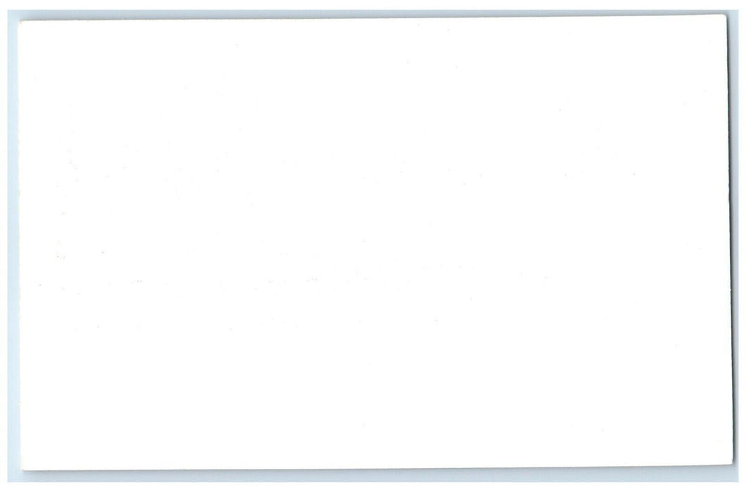 c1950's  Reindeer Deer Frank Philips Ranch Woolaroc Oklahoma OK Vintage Postcard