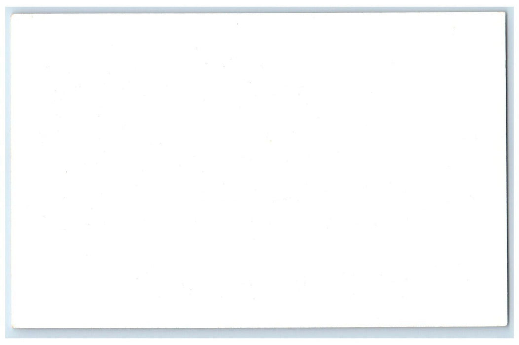 c1950's Highland Cattle Frank Philips Ranch Woolaroc Oklahoma Vintage Postcard