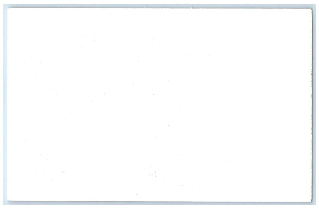 c1950's Sheep Animals Frank Philips Ranch Woolaroc Oklahoma OK Vintage Postcard