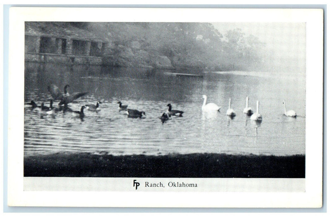 c1950's Swan River Lake Philips Frank Ranch Woolaroc Oklahoma Vintage Postcard