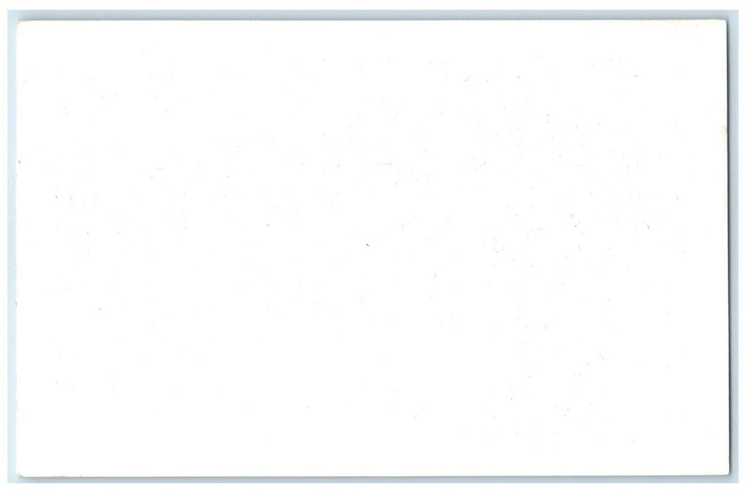 c1950's Home Buffalo Frank Philips Ranch Woolaroc Oklahoma OK Vintage Postcard