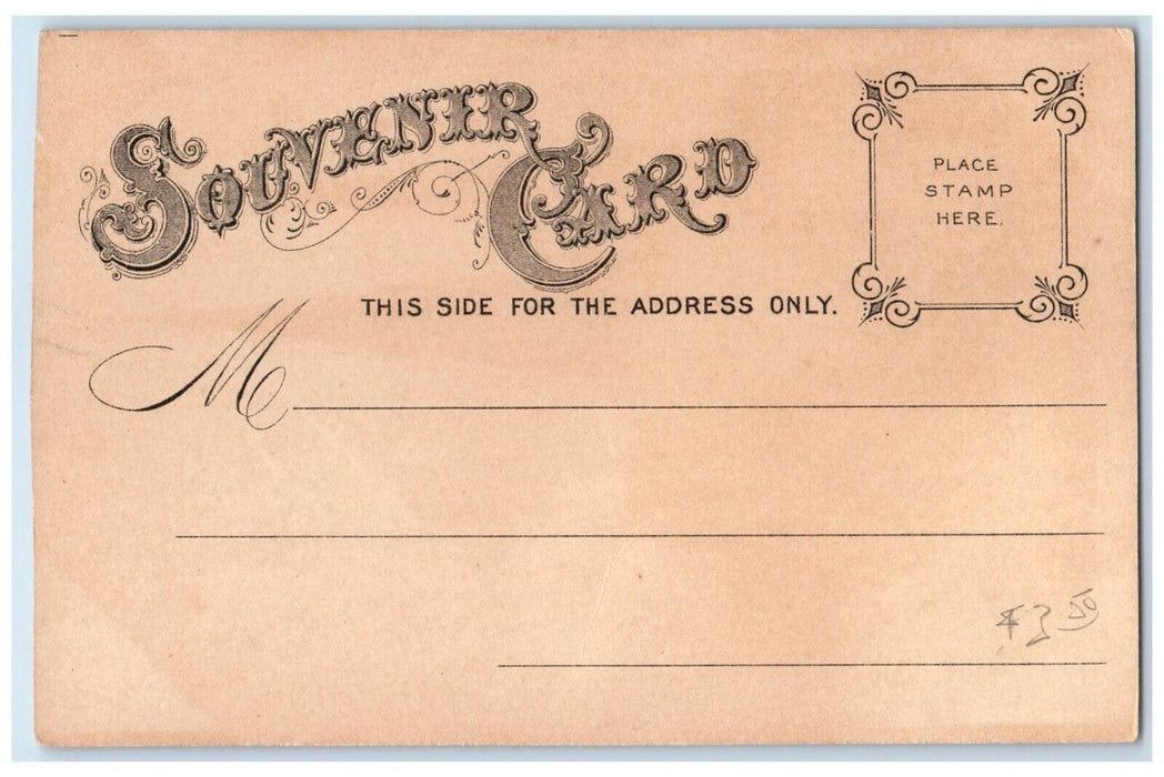 c1905 Souvenir St. Patricks Cathedral 5th Ave. Greater New York Vintage Postcard