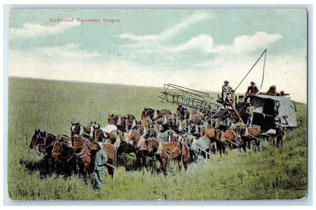 1910 Horse Carriage Field Combined Harvester Oregon OR Vintage Antique Postcard