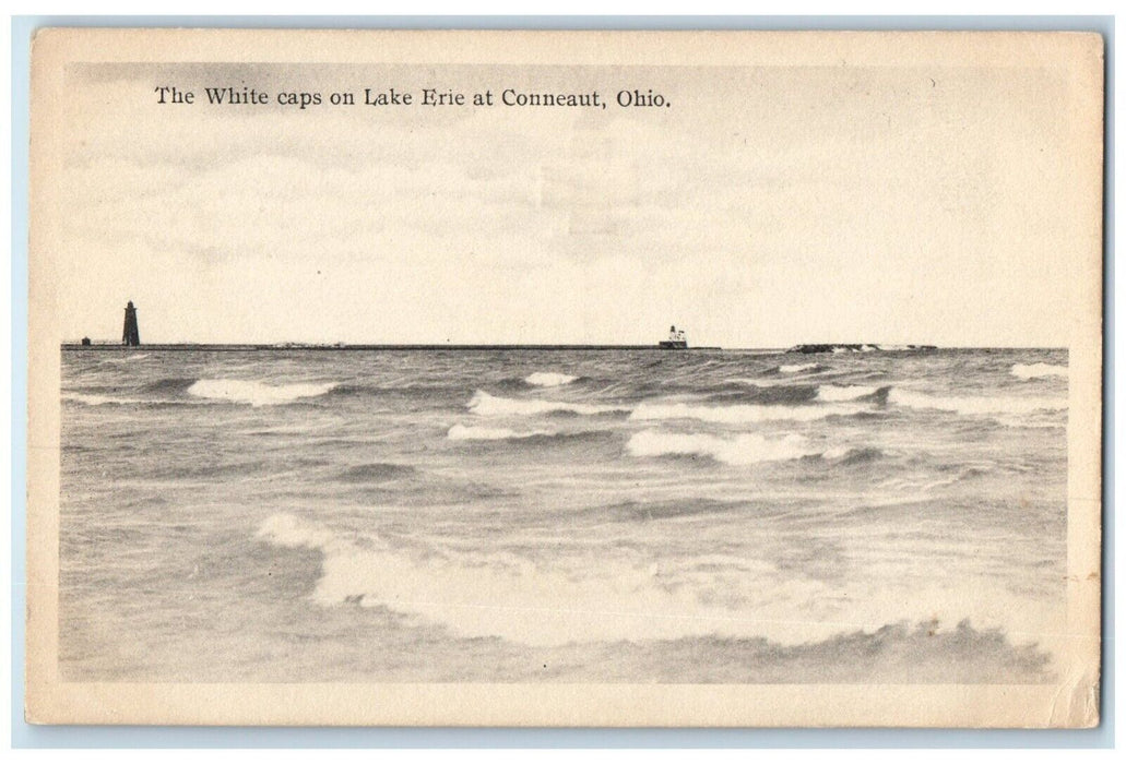 c1910 White Caps Lake Erie Conneaut Ohio American Red Cross OH Unposted Postcard