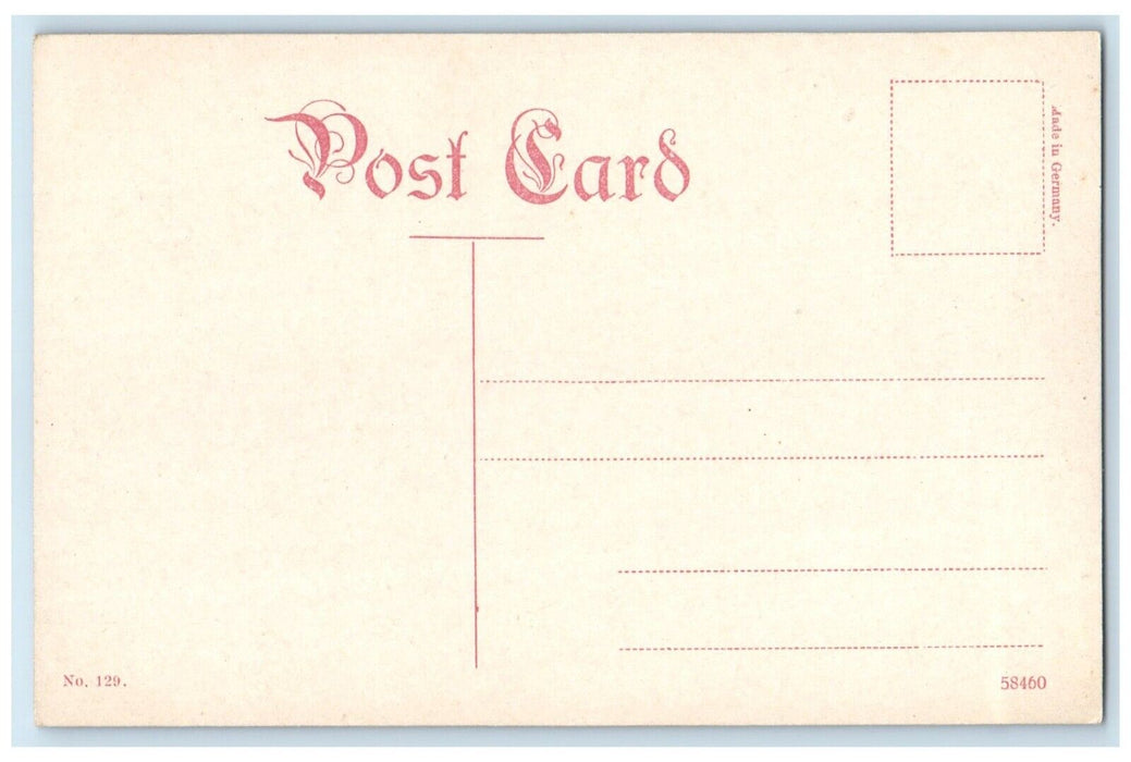 c1910 Lincoln Park Zoo Raccoon Cave Chicago Illinois IL Vintage Antique Postcard