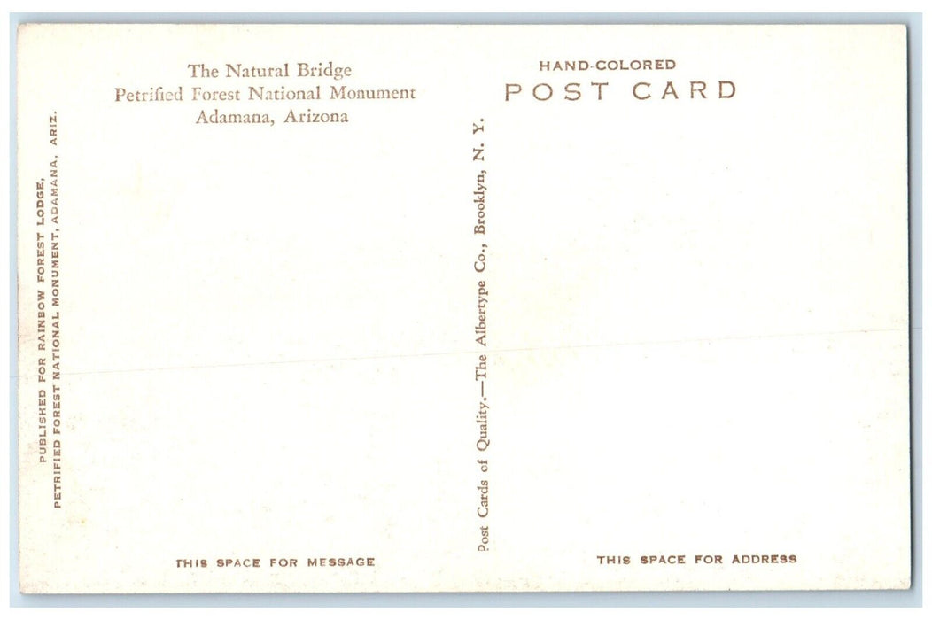 c1940 Natural Bridge Petrified Forest National Monument Adamana Arizona Postcard