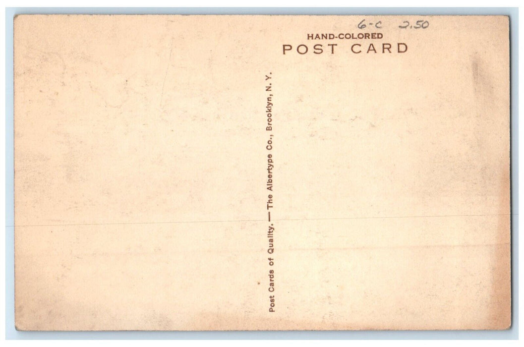 c1940 Cedrus Deodar Trees Bench University California Los Angeles Linen Postcard