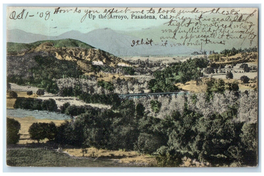 1908 Scenic View Up Arroyo Bridge Trees Pasadena California CA Antique Postcard