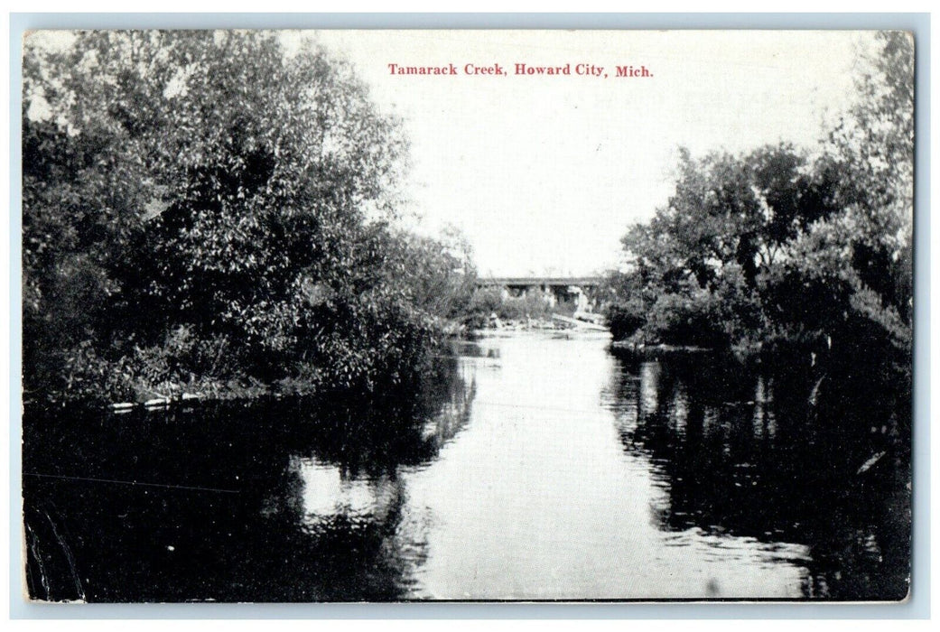 1909 Tamarack Creek River Lake Howard City Michigan MI Vintage Antique Postcard