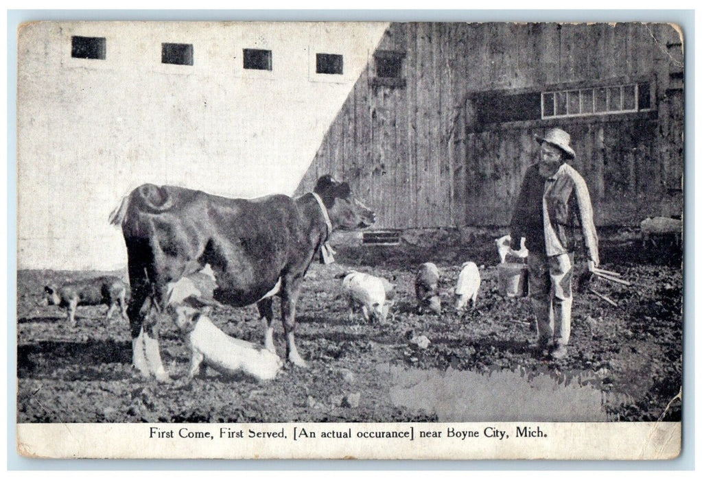 c1920 First Come First Served Cow Pigs Exterior  Boyne City Michigan MI Postcard