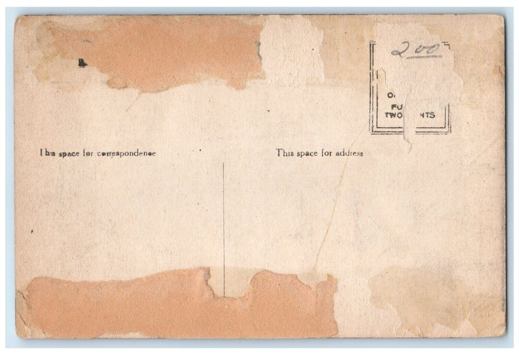 c1920 First Come First Served Cow Pigs Exterior  Boyne City Michigan MI Postcard