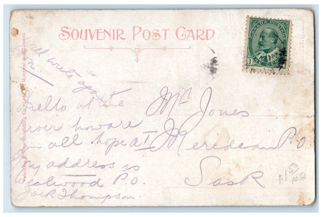 c1905 Winnipeg From Court House Manitoba Canada Antique Posted Postcard