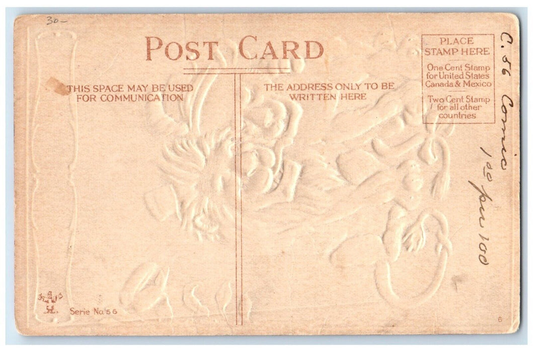 c1910's Suggestion For Lovers Anthropomorphic Animals Embossed Antique Postcard
