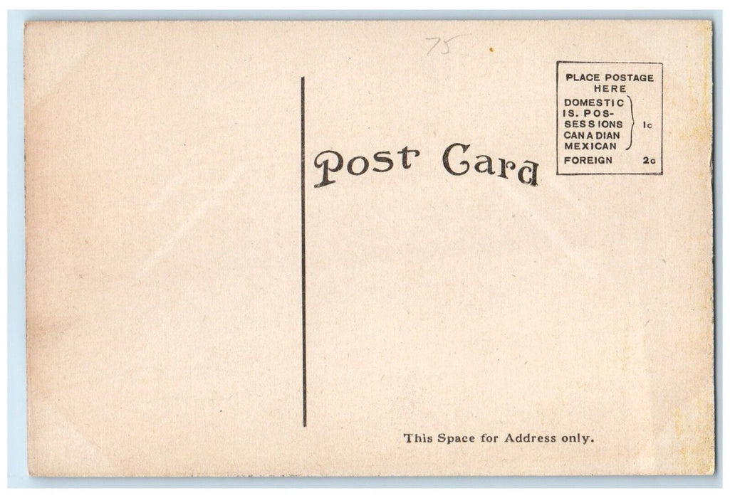 c1910 Montreal Falls Mouth River Ironwood Michigan MI Vintage Antique Postcard