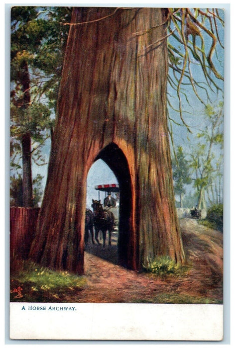 c1910's A Horse Archway Giant Tree Reward Card Tuck's Oilette Antique Postcard