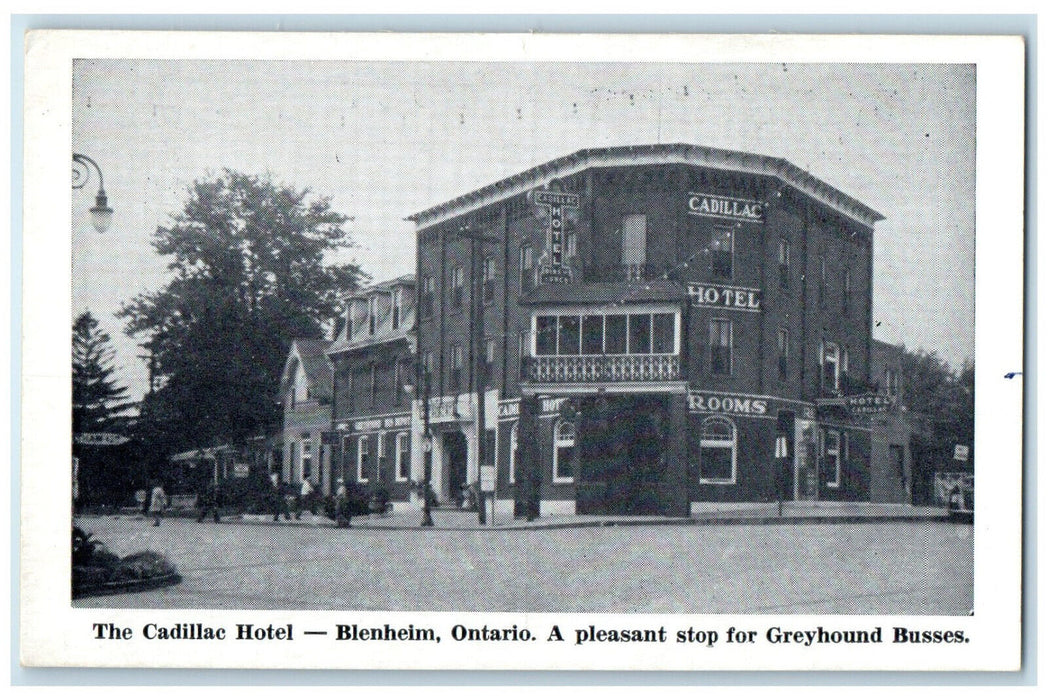 c1930's Greyhound Busses Stop at The Cadillac Hotel Blenheim Canada Postcard