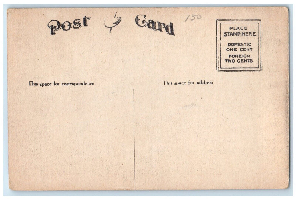 c1910 Birds Eye View Dock Lake Bridge Road Boyne City Michigan Unposted Postcard