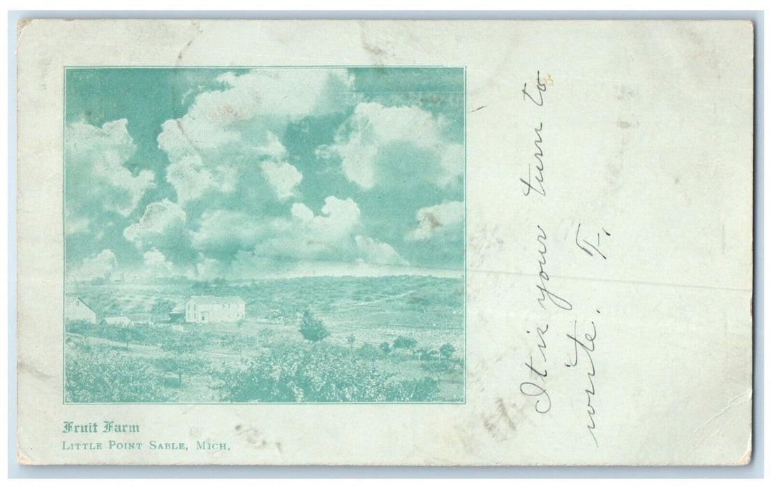 1905 Aerial View Fruit Farm Little Point Sable Michigan Posted Souvenir Postcard