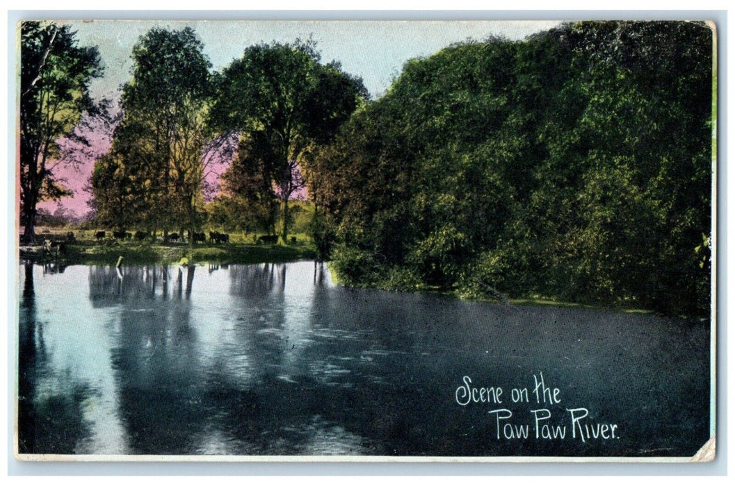 1910 Scene On The Paw Paw River Saint Joseph Michigan MI Posted Antique Postcard