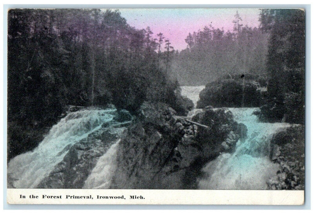 c1910's View In The Forest Primeval Waterfall Ironwood Michigan MI Postcard