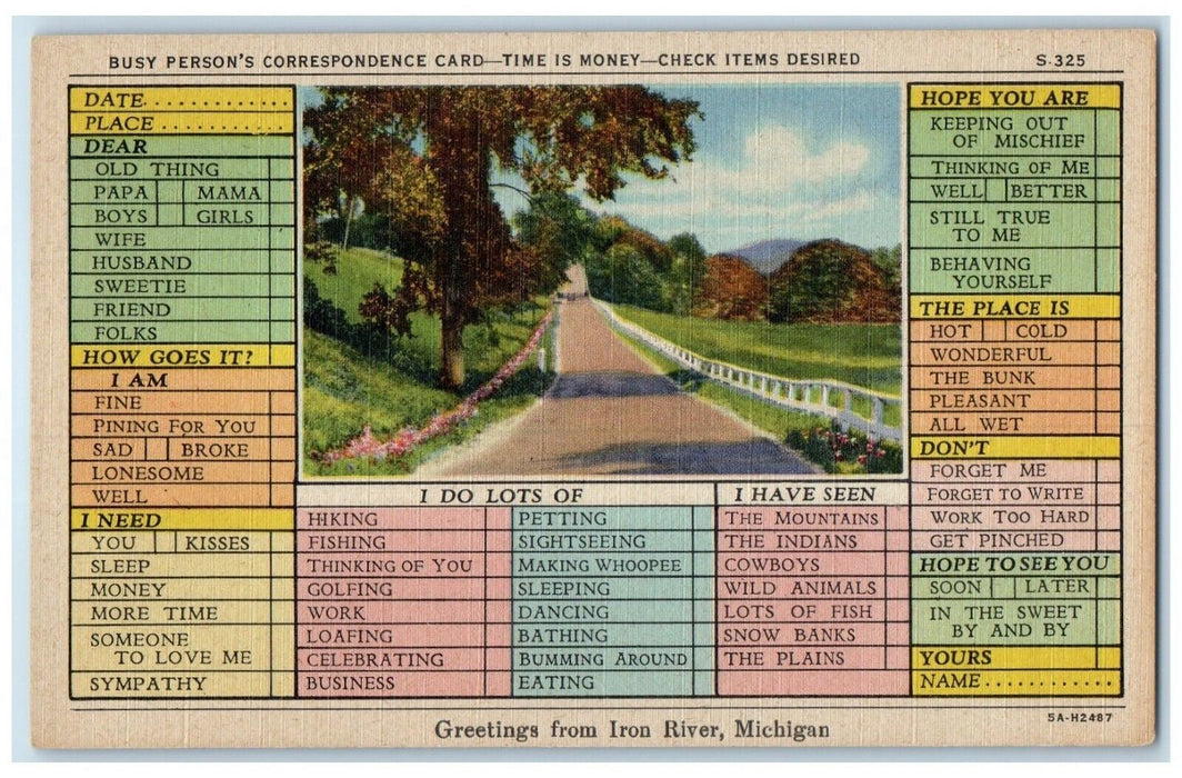c1940 Busy Person Correspondence Card Greetings Iron River Michigan MI Postcard