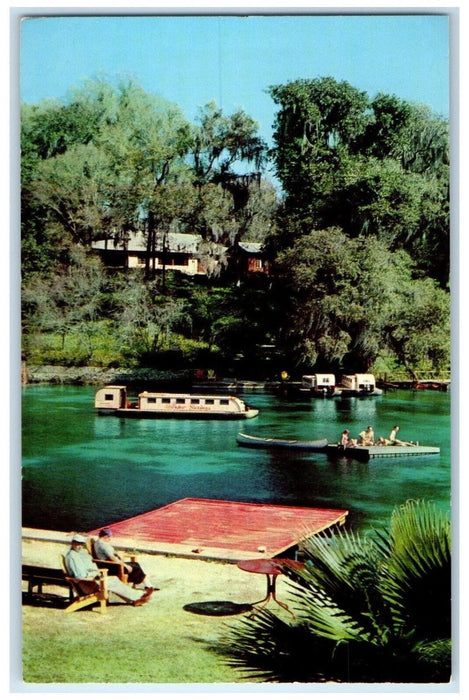 c1960 Sunshine Spring Winding Paths Rainbow Springs Dunnellon Florida Postcard