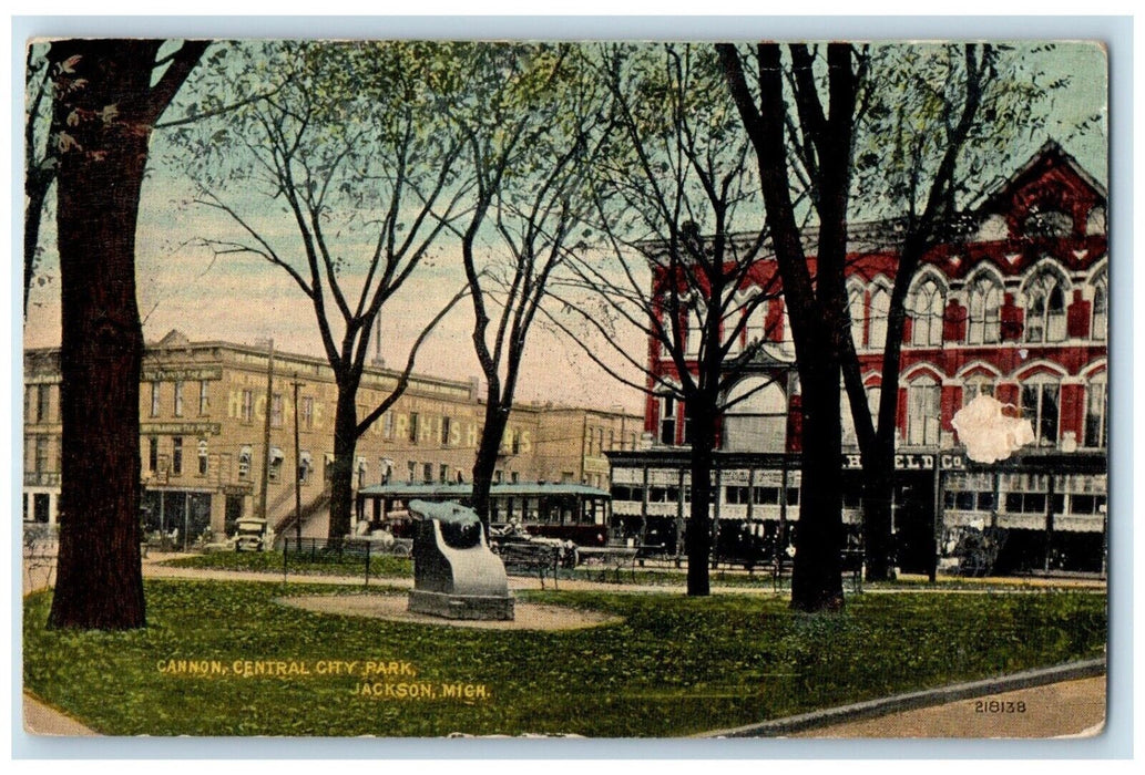 1915 Scenic View Cannon Central City Park Jackson Michigan MI Vintage Postcard