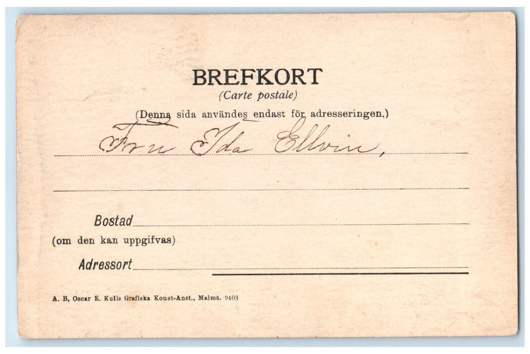 c1905 Sea View Steamer Styrso Tange Gothenburg Sweden Antique Posted Postcard