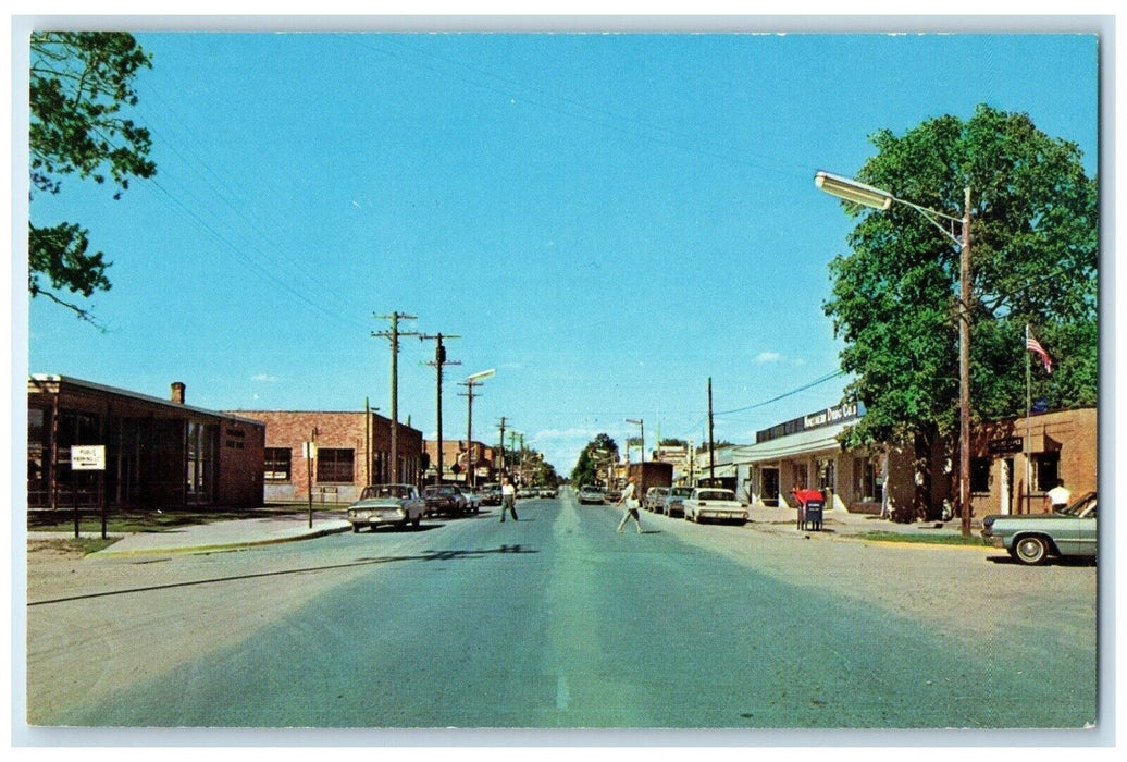 1960 Looking North Lake St Road Classic Car Roscommon Michigan Unposted Postcard