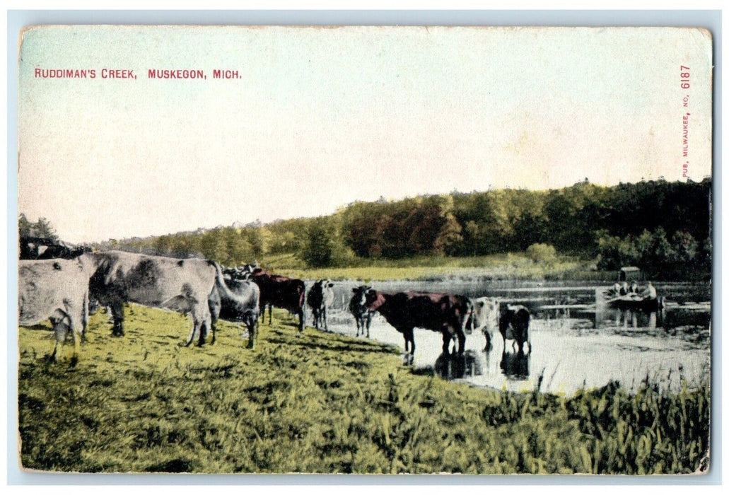 1910 Scenic View Animals Cows River Ruddiman Creek Muskegon Michigan MI Postcard