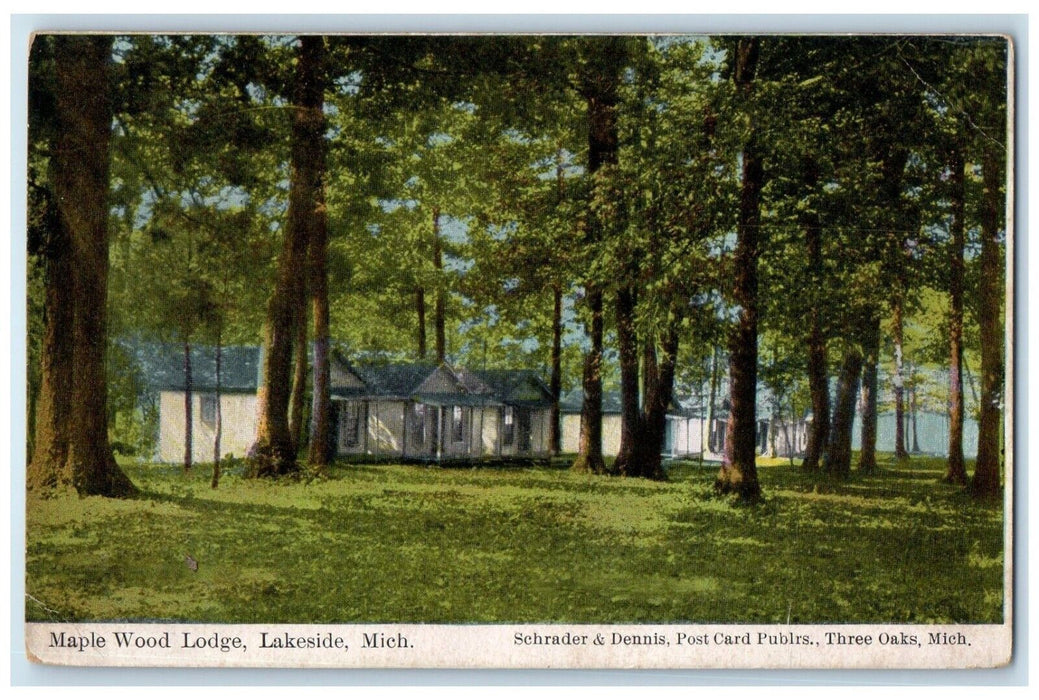 c1910 Scenic View Maple Wood Lodge Lakeside Michigan MI Antique Vintage Postcard