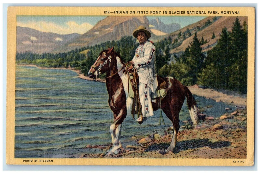 1951 Indian Pinto Pony Native American Glacier National Park Montana MT Postcard