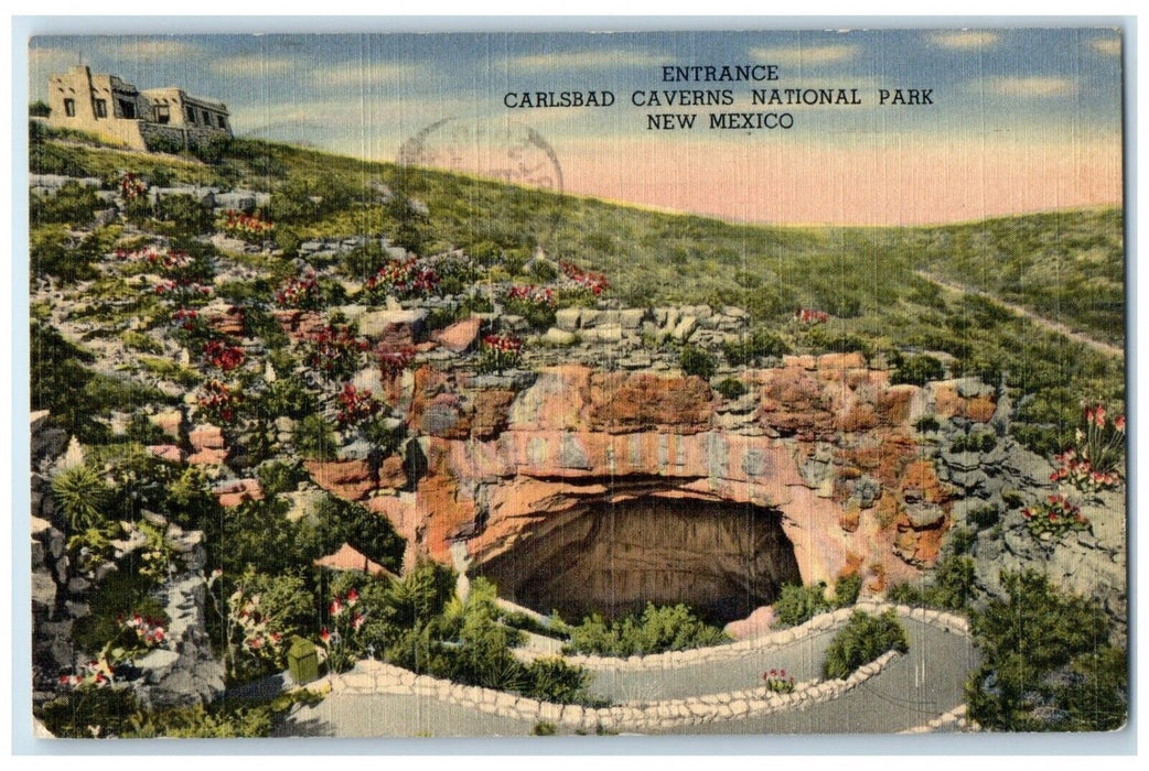1950 Entrance Carlsbad Caverns National Park New Mexico NM Vintage Postcard